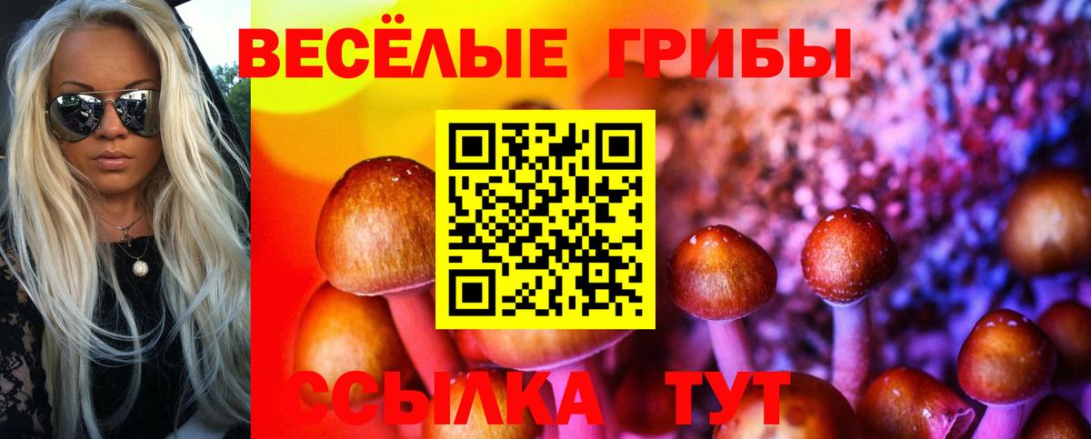 Псилоцибиновые грибы GOLDEN TEACHER  Галлюциногенные грибы прущие грибы  Вход с VPN  Мончегорск 