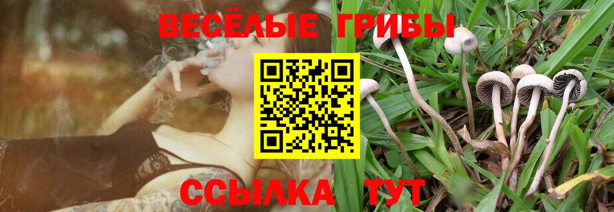 Псилоцибиновые грибы ЛСД Мончегорск